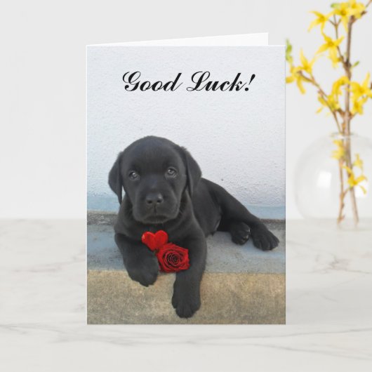 Succes labrador puppy kaart (Gele Bloem)