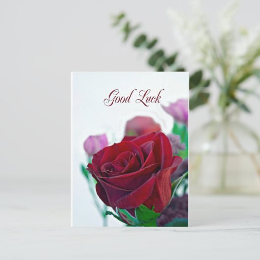 Succes met een klassieke rode roos briefkaart (Staand voorkant)