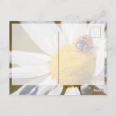 Succes met een schattige kleine ladybug! briefkaar briefkaart (Achterkant)