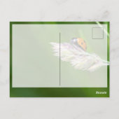 Succes met een schattige kleine ladybug! briefkaar briefkaart (Achterkant)