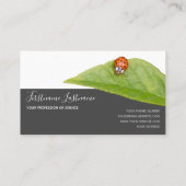 Succes met gestreepte ladybugs elegante grijze rec visitekaartje (Achterkant)