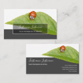 Succes met gestreepte ladybugs elegante grijze rec visitekaartje (Voorkant / Achterkant)