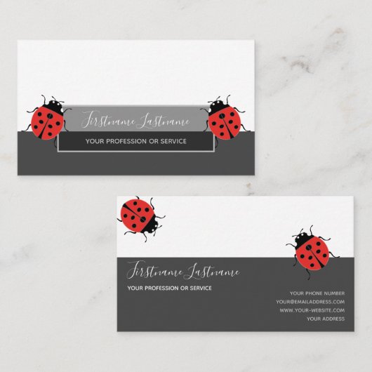 Succes met gestreepte ladybugs elegante grijze rec visitekaartje (Voorkant / Achterkant)