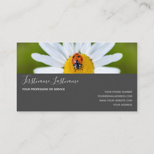 Succes met gestreepte ladybugs elegante grijze rec visitekaartje (Achterkant)