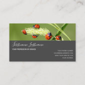 Succes met gestreepte ladybugs elegante grijze rec visitekaartje (Achterkant)