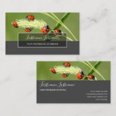 Succes met gestreepte ladybugs elegante grijze rec visitekaartje (Voorkant / Achterkant)