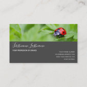 Succes met gestreepte ladybugs elegante grijze rec visitekaartje (Achterkant)
