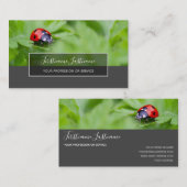 Succes met gestreepte ladybugs elegante grijze rec visitekaartje (Voorkant / Achterkant)
