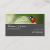 Succes met gestreepte ladybugs elegante grijze rec visitekaartje (Achterkant)