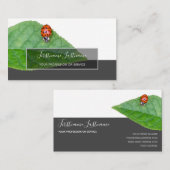 Succes met gestreepte ladybugs elegante grijze rec visitekaartje (Voorkant / Achterkant)