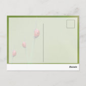 Succes met schattige kleine ladybugs! briefkaart (Achterkant)