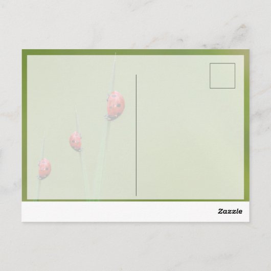 Succes met schattige kleine ladybugs! briefkaart (Achterkant)