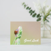 Succes met schattige kleine ladybugs! briefkaart (Staand voorkant)