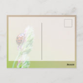 Succes met schattige kleine ladybugs! briefkaart (Achterkant)