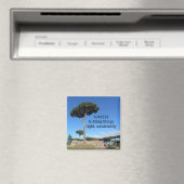 Succes Motiverend Magneet (Insitu (Vaatwasser))