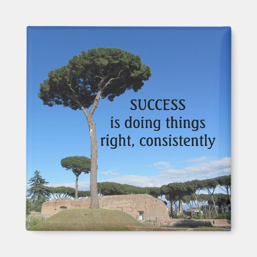 Succes Motiverend Magneet (Voorkant)