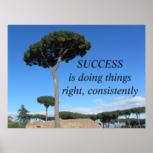 Succes Motiverende Boodschap Poster (Voorkant)