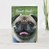 Succes Pug Dog Kaart (Voorkant)