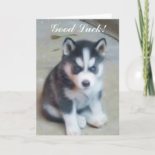 Succes Siberische Husky Puppykaart Kaart (Voorkant)