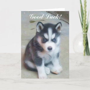 Succes Siberische Husky Puppykaart Kaart