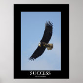 SUCCESS Bald Eagle Motivatie Poster (Voorkant)