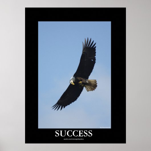 SUCCESS Bald Eagle Motivatie Poster (Voorkant)