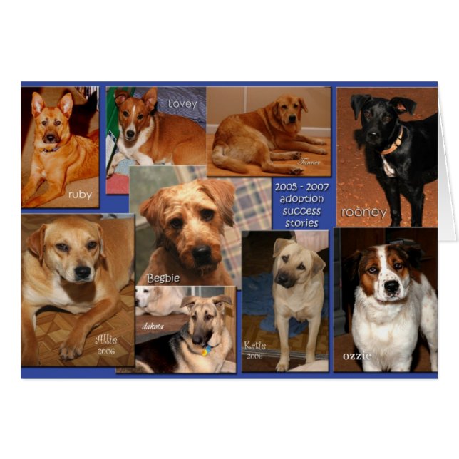 succesverhalen 2007 (Voorkant Horizontaal)