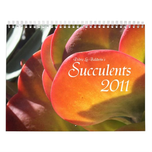Succesvolle kalender 2011 (Hoes)