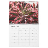Succesvolle kalender 2011 (Feb 2027)