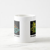 Succinaat Dehydrogenase (Chemie) Koffiemok (Center)