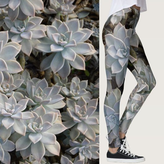 Succulair Silvery Blue Leggings