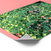 Succulant Bed Poster (Hoek)