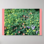 Succulant Bed Poster (Voorkant)