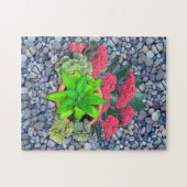 Succulatuur op een rivierbedding legpuzzel (Horizontaal)