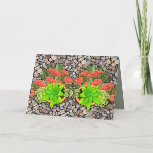 Succulatuur op tuinbouwkevers aankondiging (Voorkant)