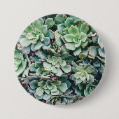 Succulent 2 ronde button 7,6 cm (Voorkant)