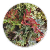 Succulent aangepaste keramische knop (Voorkant)