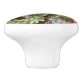 Succulent aangepaste keramische knop (Zijkant)