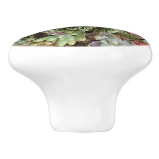 Succulent aangepaste keramische knop (Zijkant)