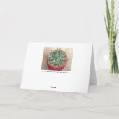 Succulent Agave victoriae-reginae Wenskaart Kaart (Achterkant)