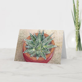 Succulent Agave victoriae-reginae Wenskaart Kaart