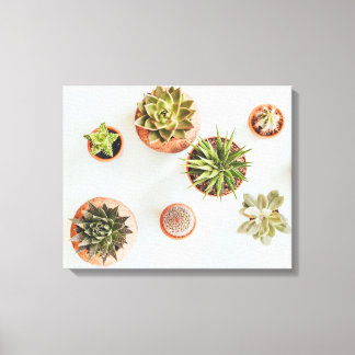 Succulent Artwork Canvas Afdruk