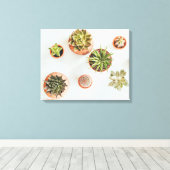 Succulent Artwork Canvas Afdruk (Insitu (Houten vloer))