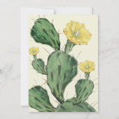 Succulent Baby shower Bingo Kaart (Achterkant)