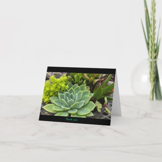 Succulent Bedankkaart (Voorkant)