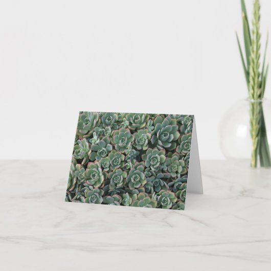 Succulent Bedankt kaart (Voorkant)