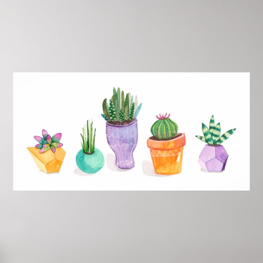 Succulent beeldscherm poster (Voorkant)