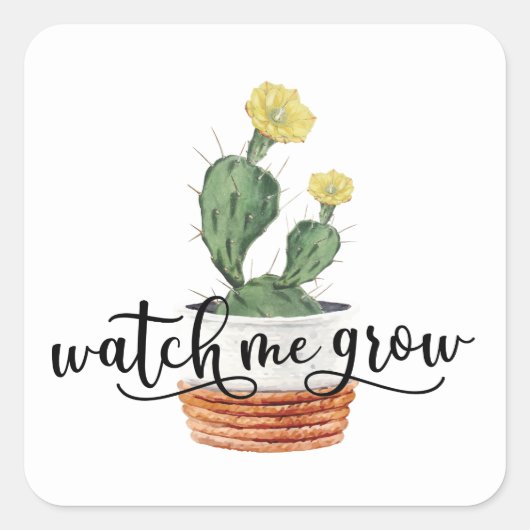 Succulent Bekijk me groeien Sticker (Voorkant)