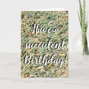 Succulent Birthday Card Kaart