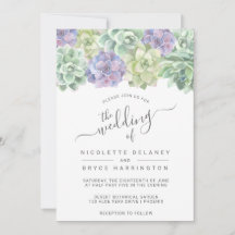 Succulent Botanische Groene Paarse Bond